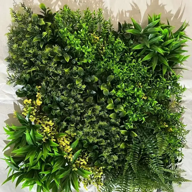 العشب الاصطناعي على الحائط