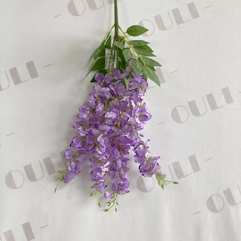زهور Wisteria فو